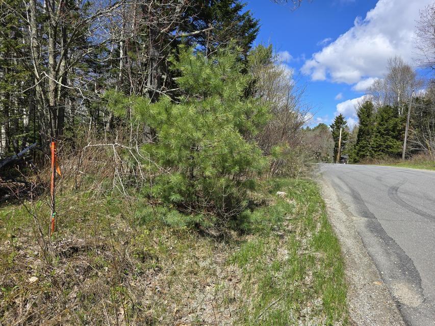 Lot #7 Wallston Road Saint George ME 04860