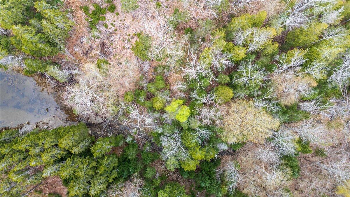 Map 22 Lot 4b Big Tree Lane Islesboro ME 04848