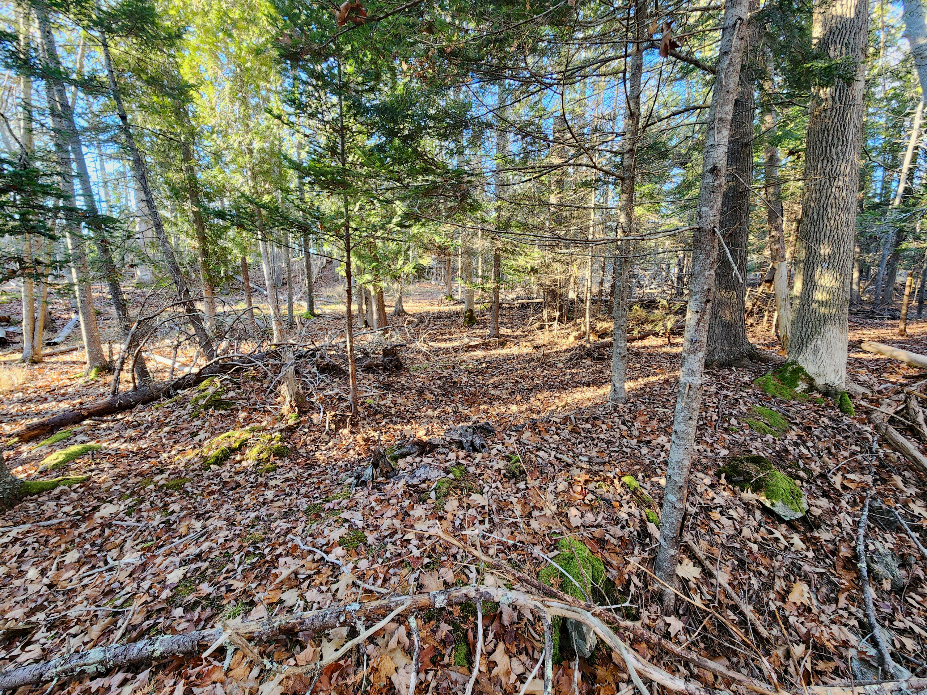 Map 22 Lot 4b Big Tree Lane Islesboro ME 04848