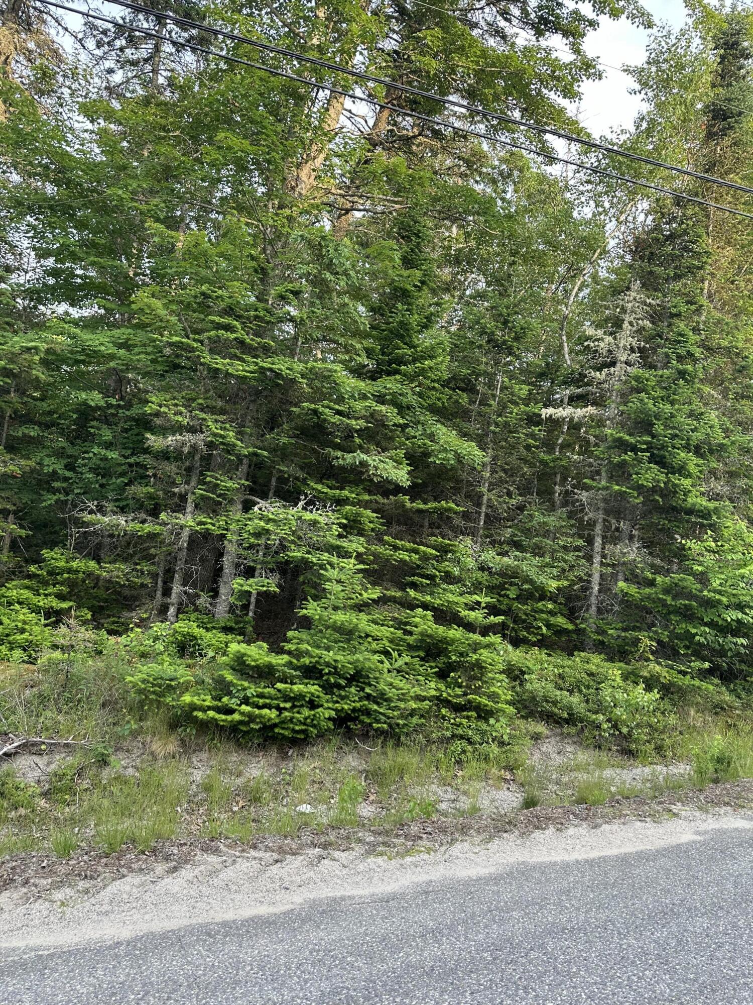 Cherryfield ME 04622