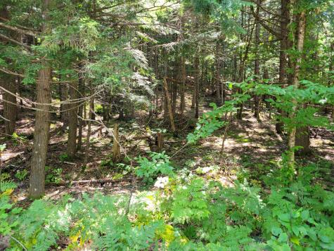 5a Webb River Acres Carthage ME 04224