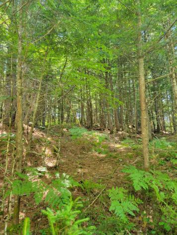 5a Webb River Acres Carthage ME 04224