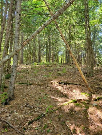 5a Webb River Acres Carthage ME 04224