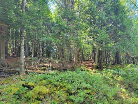 5a Webb River Acres Carthage ME 04224