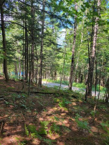 5a Webb River Acres Carthage ME 04224