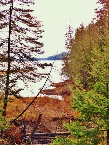 Lot 1 Foster Lane Dennysville ME 04628