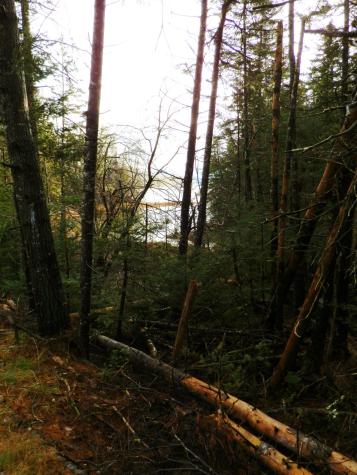 Lot 1 Foster Lane Dennysville ME 04628