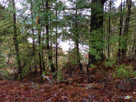 Lot 1 Foster Lane Dennysville ME 04628