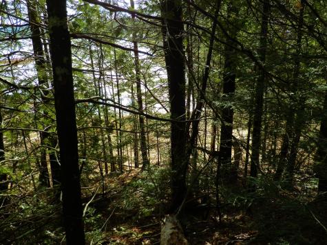 Lot 1 Foster Lane Dennysville ME 04628