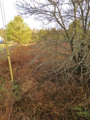 Lot 1 Foster Lane Dennysville ME 04628