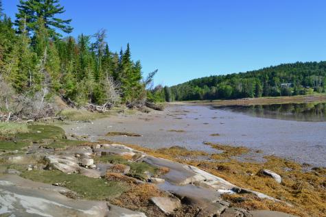 Lot 1 Foster Lane Dennysville ME 04628