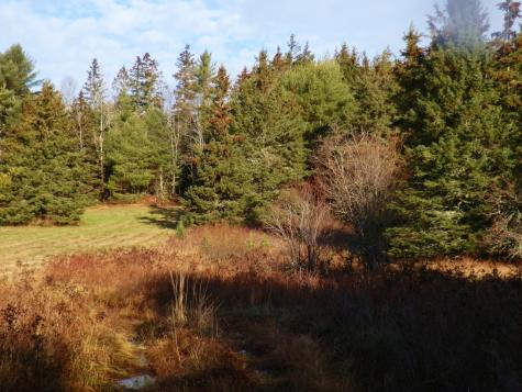 Lot 1 Foster Lane Dennysville ME 04628