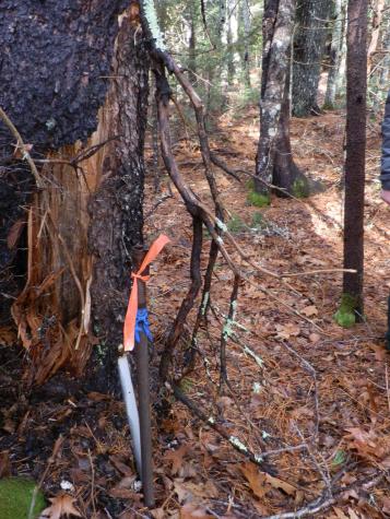 Lot 1 Foster Lane Dennysville ME 04628