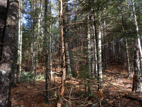 Lot 1 Foster Lane Dennysville ME 04628