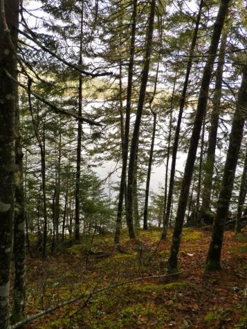 Lot 1 Foster Lane Dennysville ME 04628