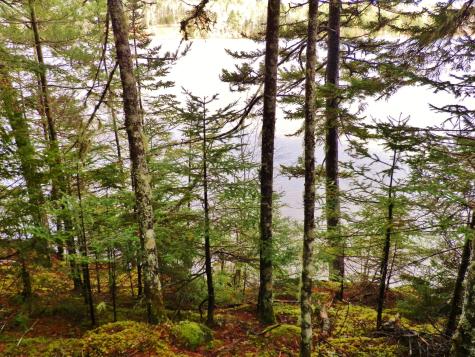 Lot 1 Foster Lane Dennysville ME 04628