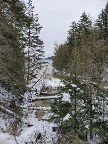 Lot 1 Foster Lane Dennysville ME 04628