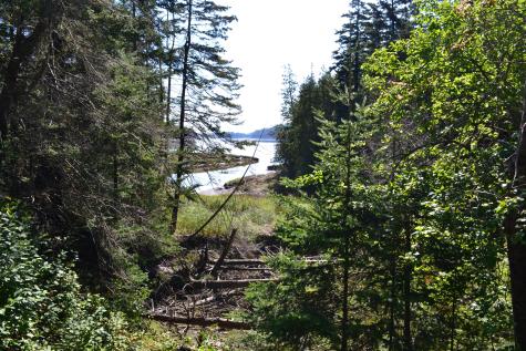 Lot 1 Foster Lane Dennysville ME 04628