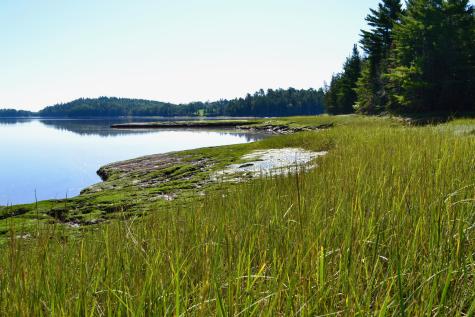 Lot 1 Foster Lane Dennysville ME 04628