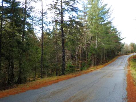 Lot 1 Foster Lane Dennysville ME 04628
