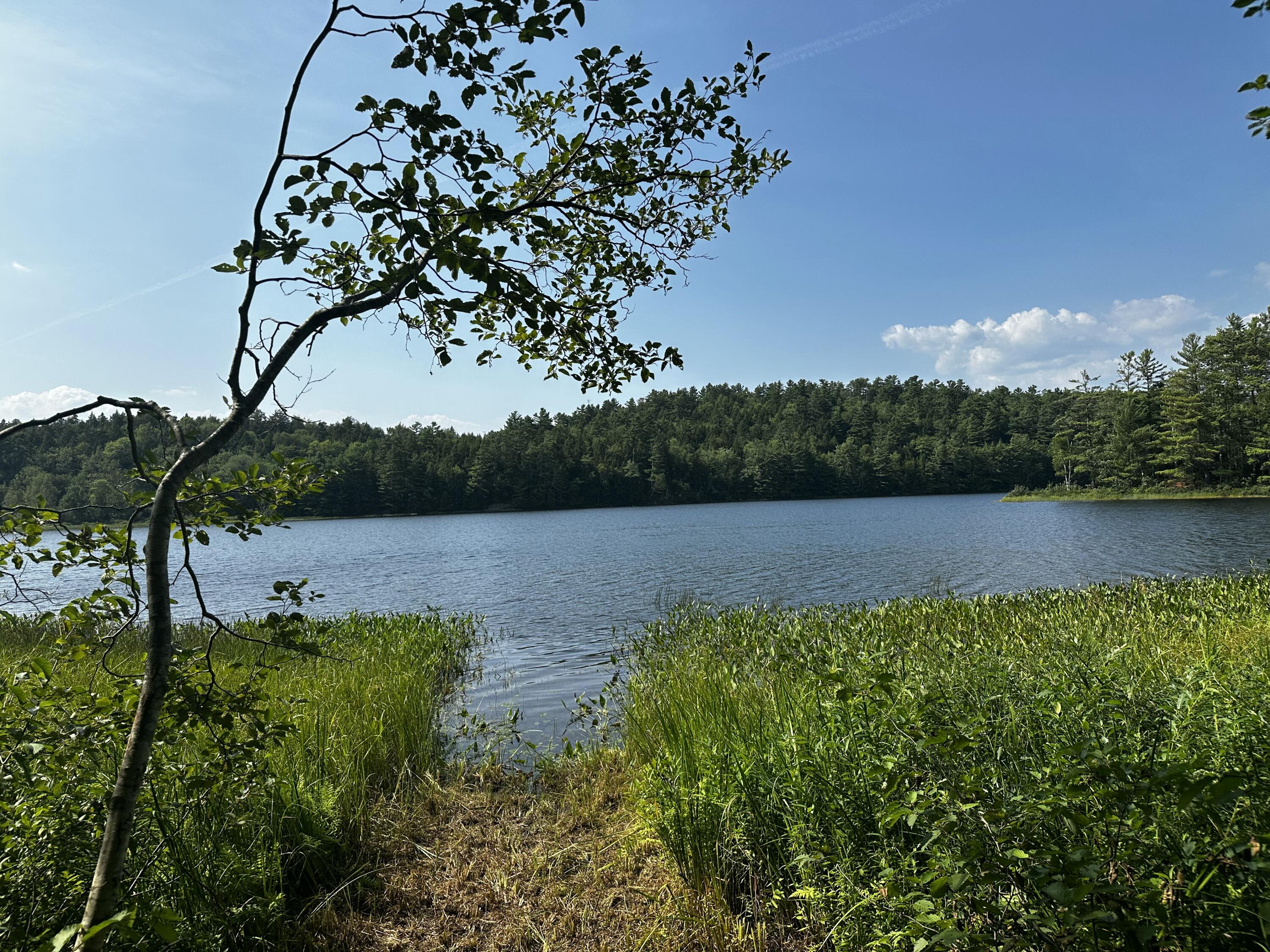 Lot 005 State Route 46 Route Bucksport ME 04416