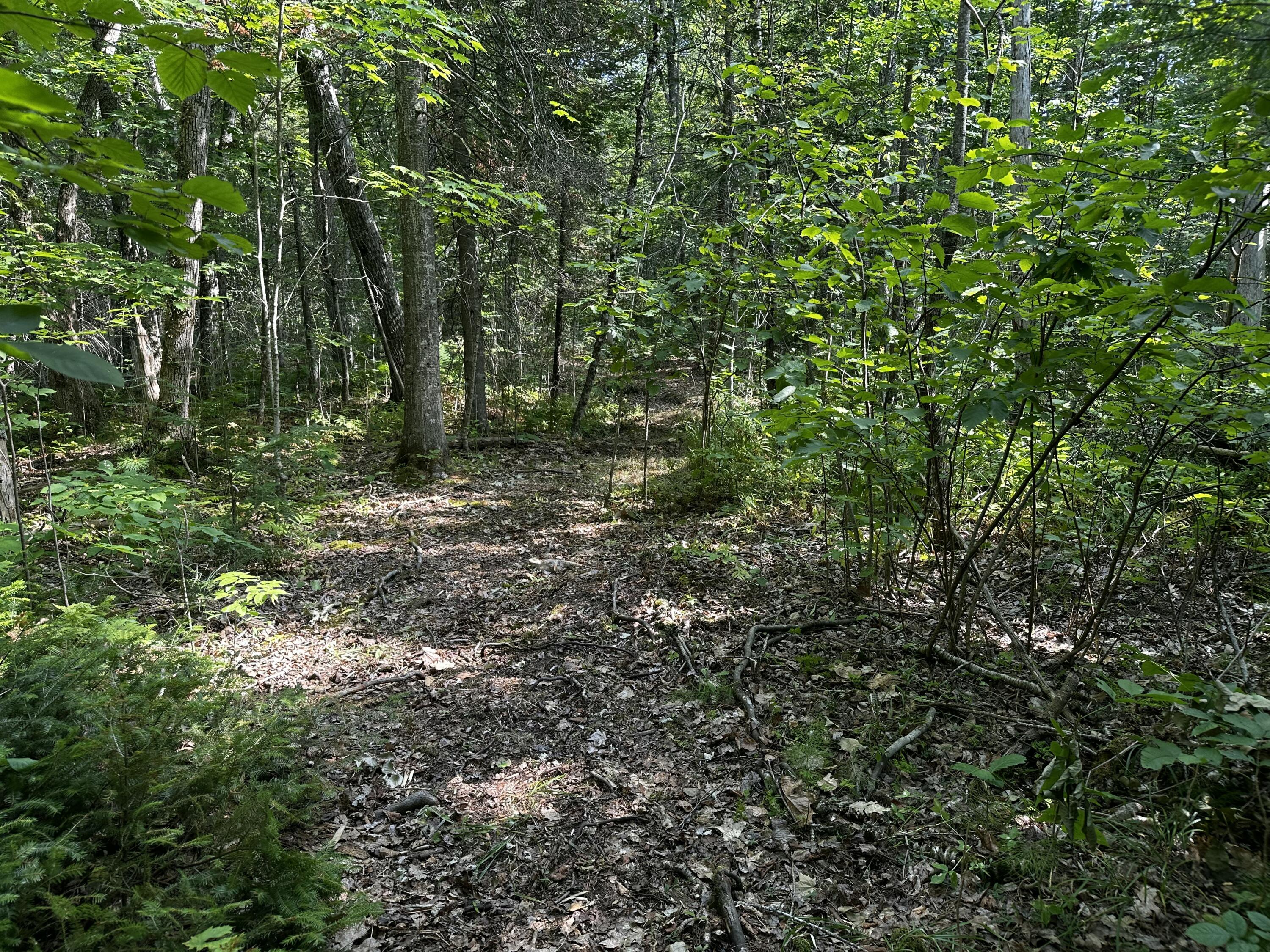 Lot 005 State Route 46 Route Bucksport ME 04416