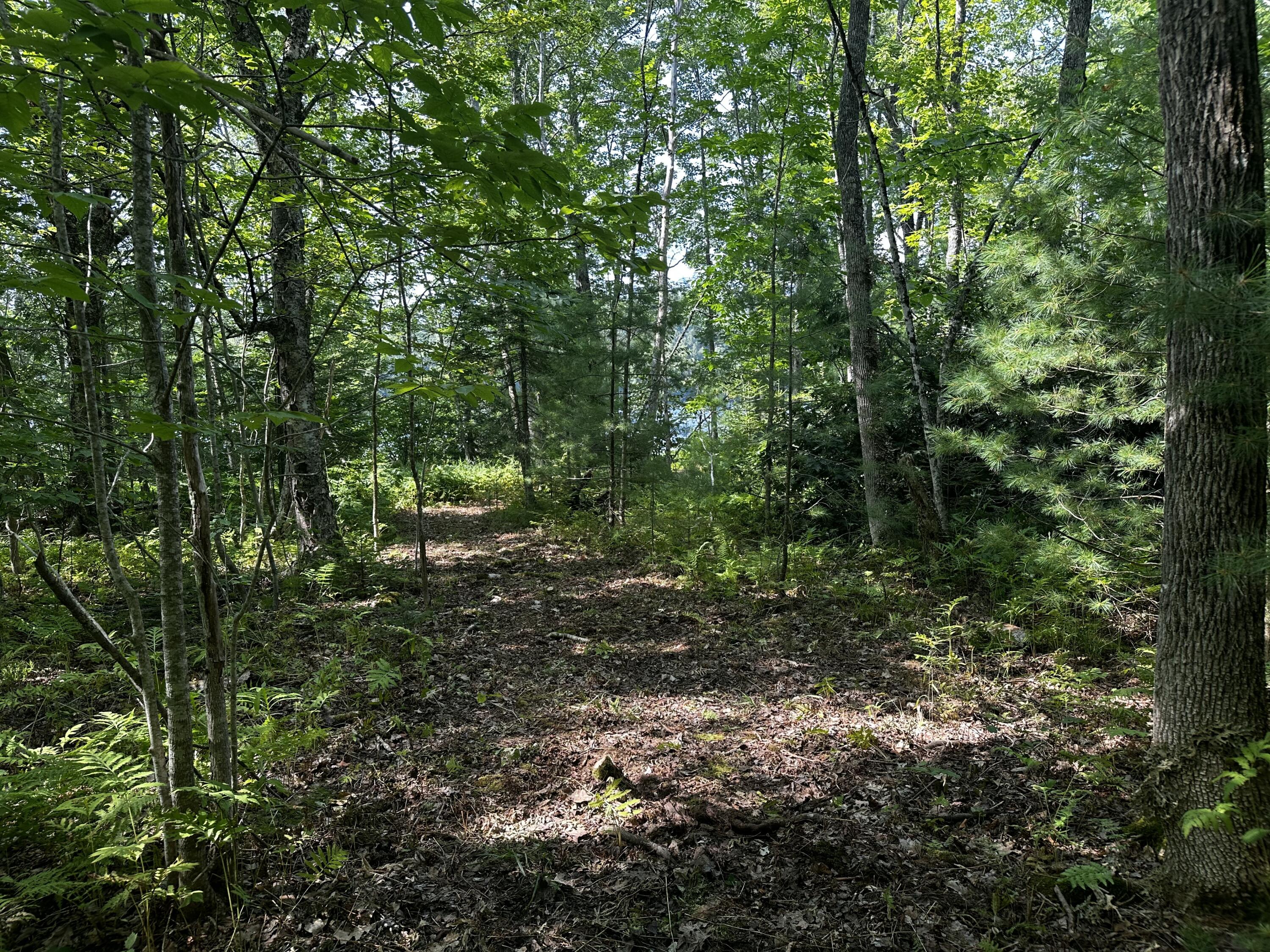 Lot 005 State Route 46 Route Bucksport ME 04416