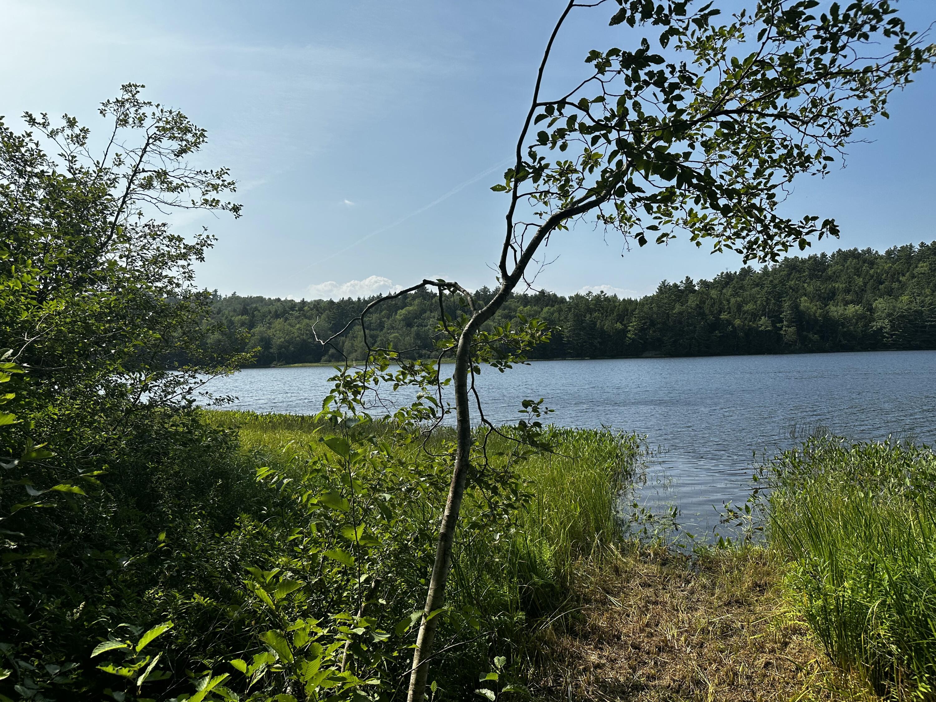 Lot 005 State Route 46 Route Bucksport ME 04416