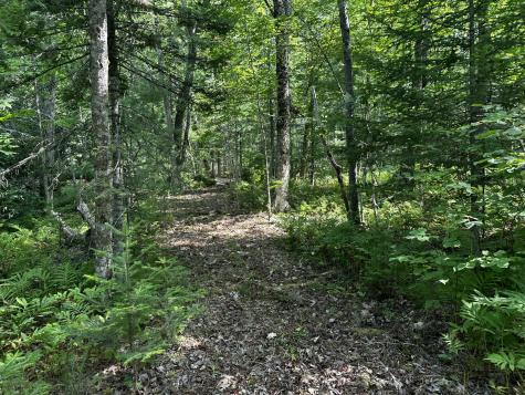 Lot 005 State Route 46 Route Bucksport ME 04416
