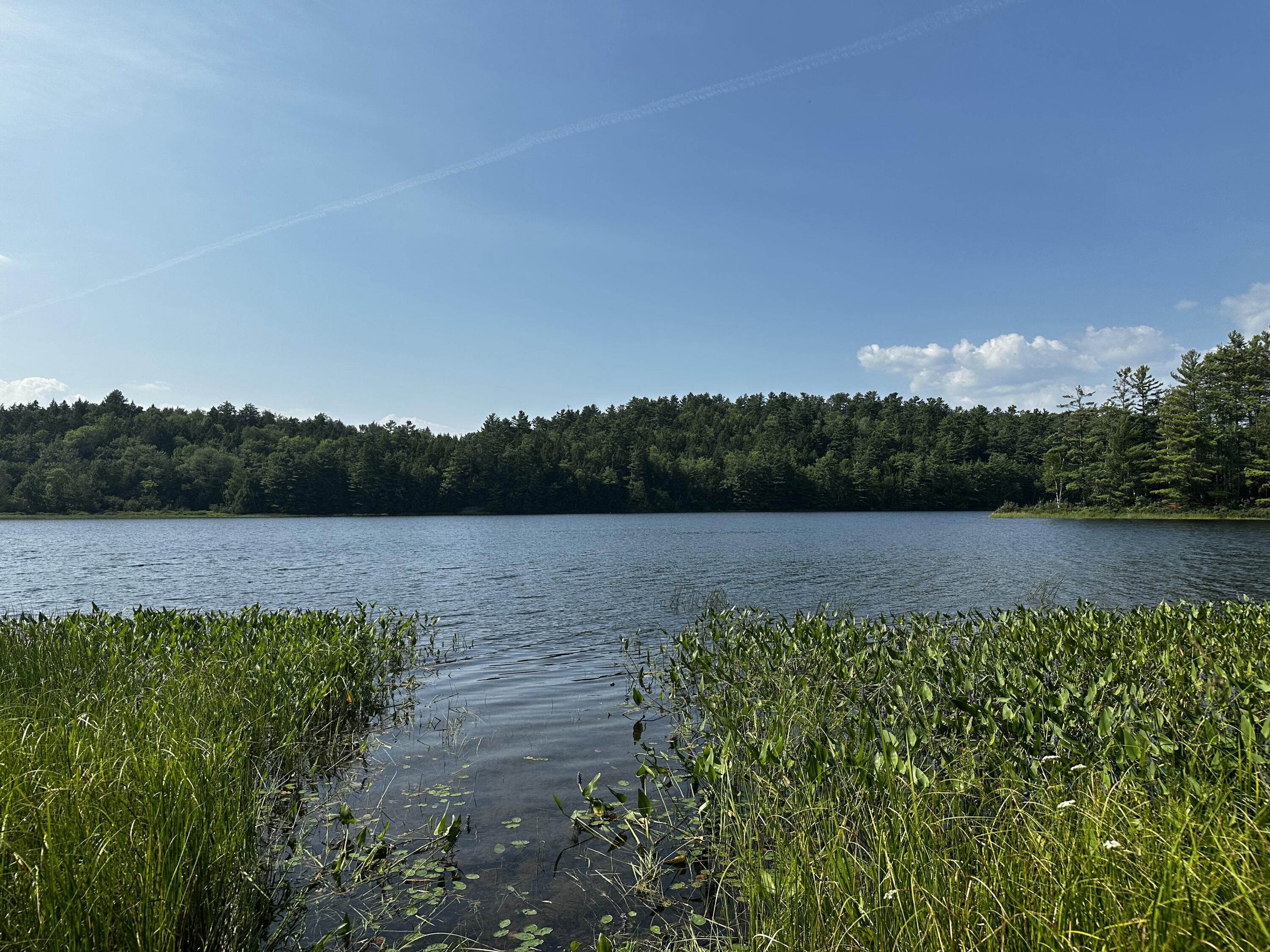 Lot 005 State Route 46 Route Bucksport ME 04416