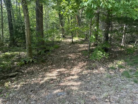 Lot 005 State Route 46 Route Bucksport ME 04416