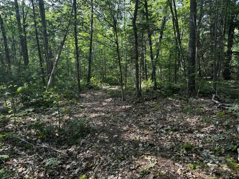 Lot 005 State Route 46 Route Bucksport ME 04416
