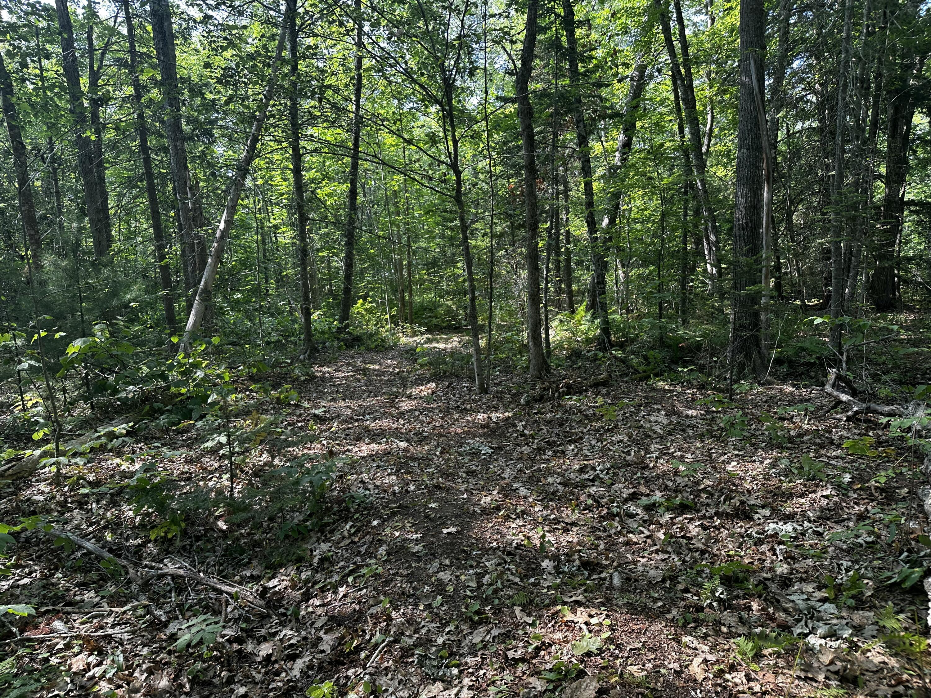 Lot 005 State Route 46 Route Bucksport ME 04416