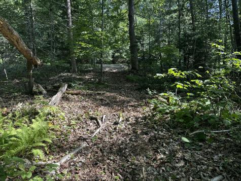 Lot 005 State Route 46 Route Bucksport ME 04416