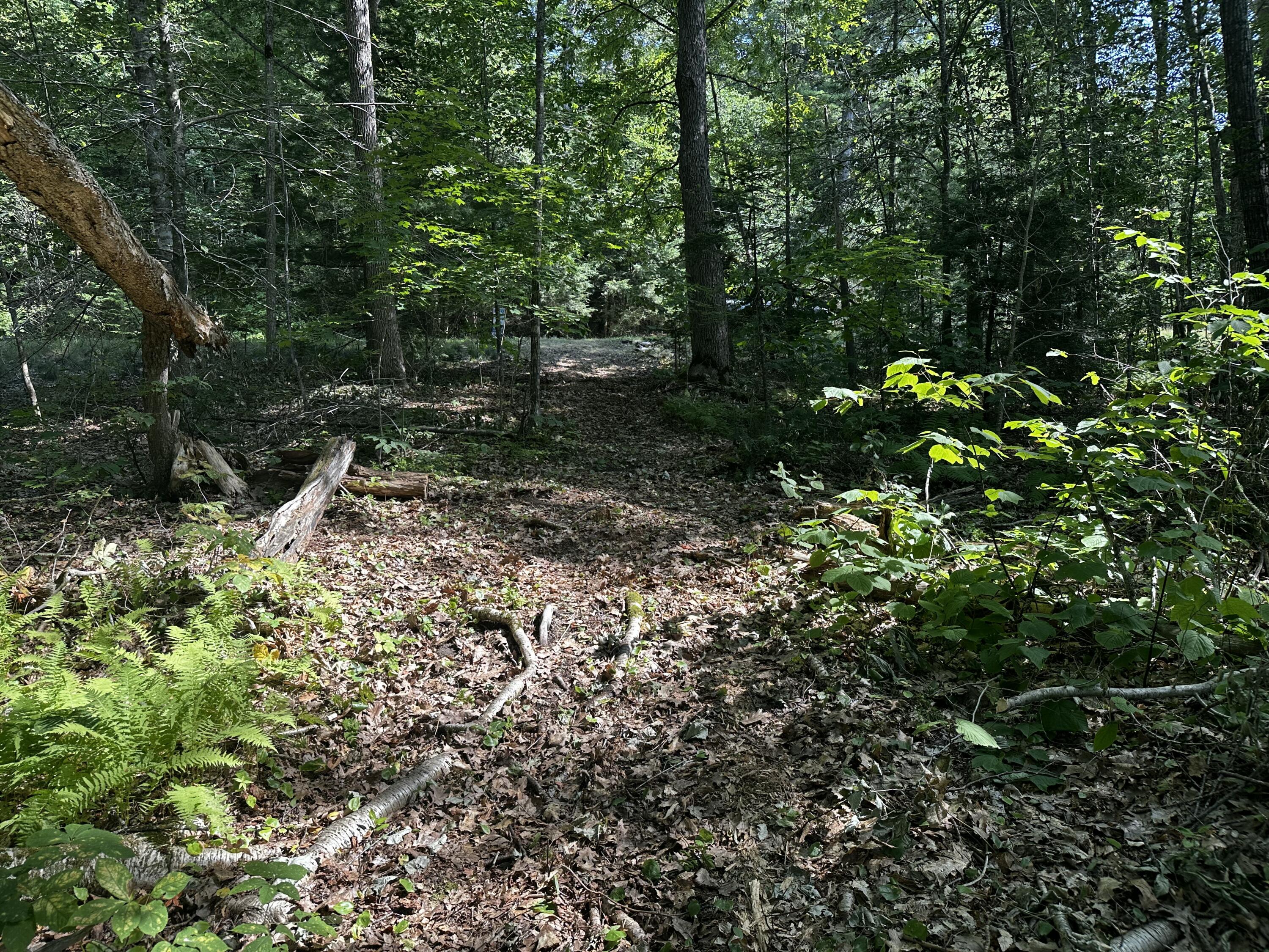 Lot 005 State Route 46 Route Bucksport ME 04416