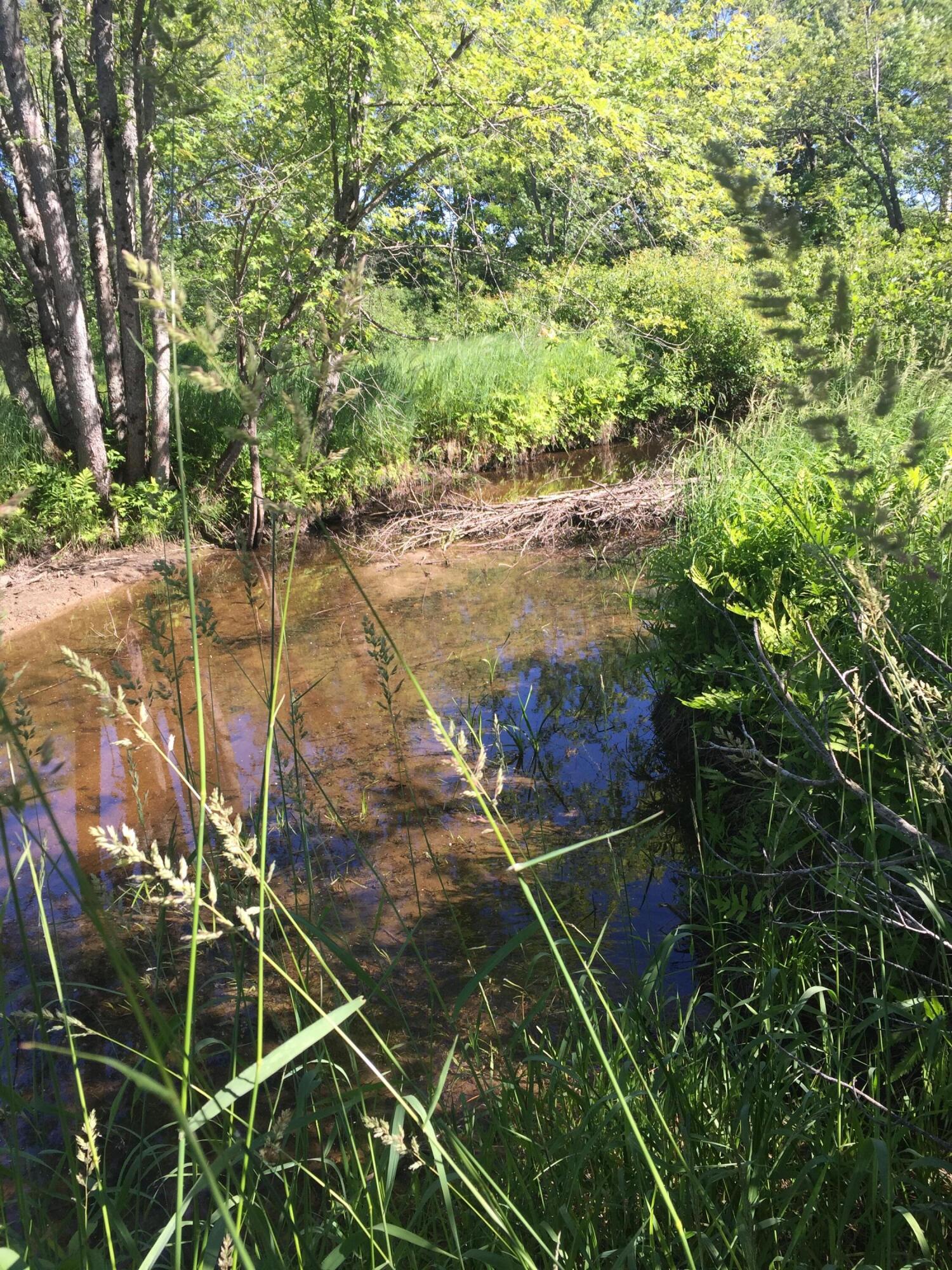 Map 5 Lot 75 Intervale Road Jay Maine Real Estate Listing MLS 1533204