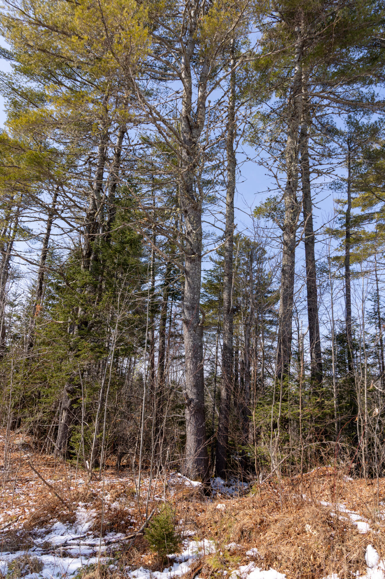 M4L38&39 West Old Main Road Lowell ME 04493