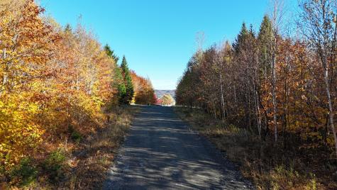 65 Wilson View Drive Greenville ME 04441