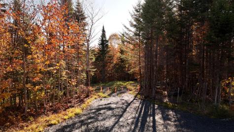 65 Wilson View Drive Greenville ME 04441