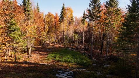 65 Wilson View Drive Greenville ME 04441