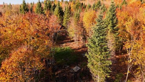 65 Wilson View Drive Greenville ME 04441