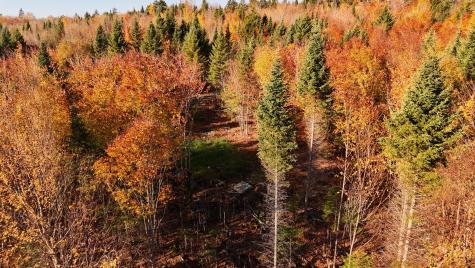 65 Wilson View Drive Greenville ME 04441