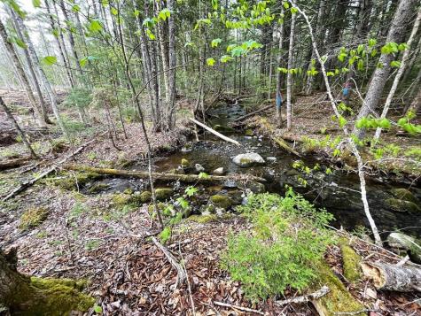 Lot #7 Hammond Brook Road Monson ME 04464