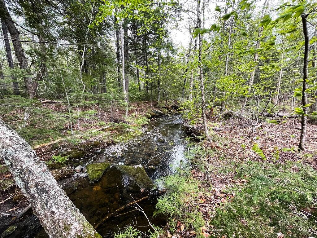 Lot #7 Hammond Brook Road Monson ME 04464