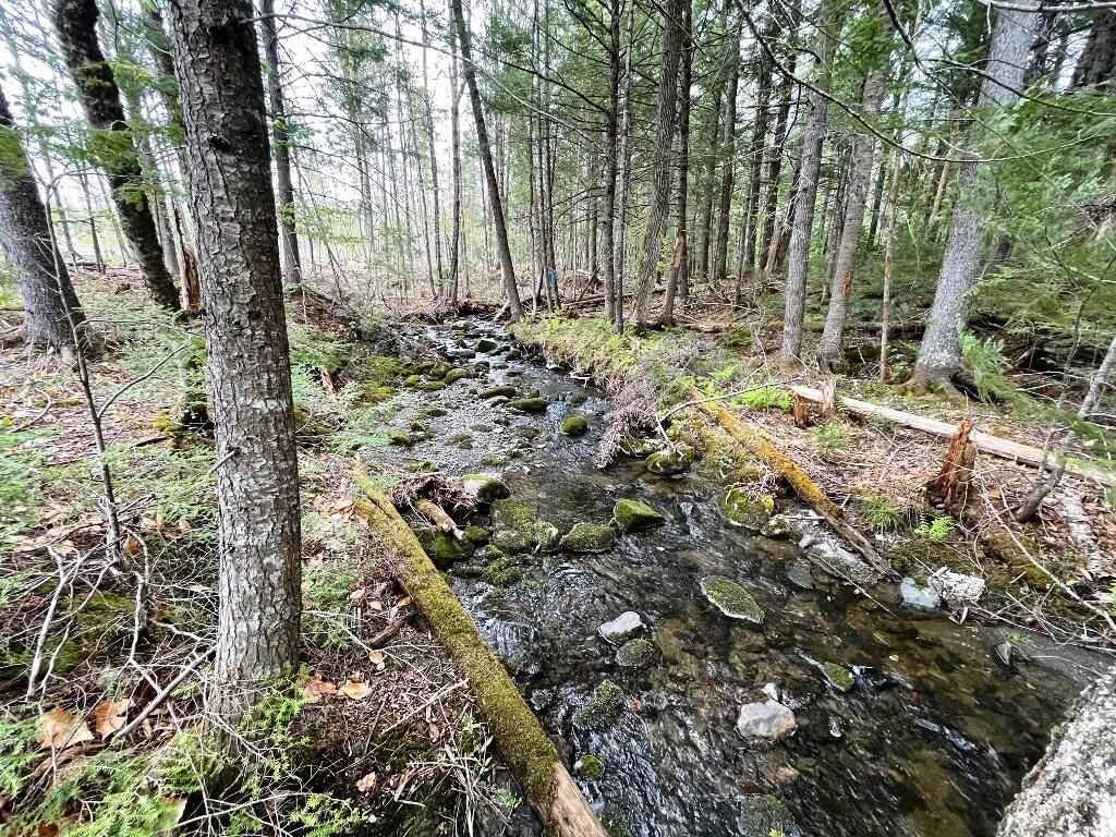 Lot #7 Hammond Brook Road Monson ME 04464