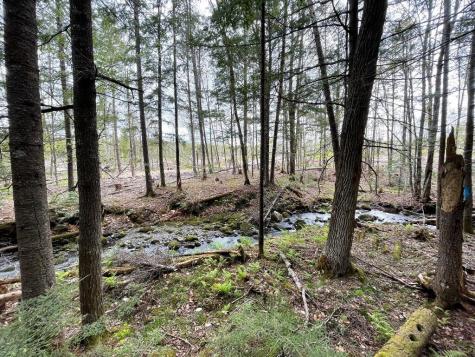 Lot #7 Hammond Brook Road Monson ME 04464