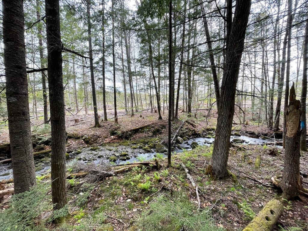 Lot #7 Hammond Brook Road Monson ME 04464
