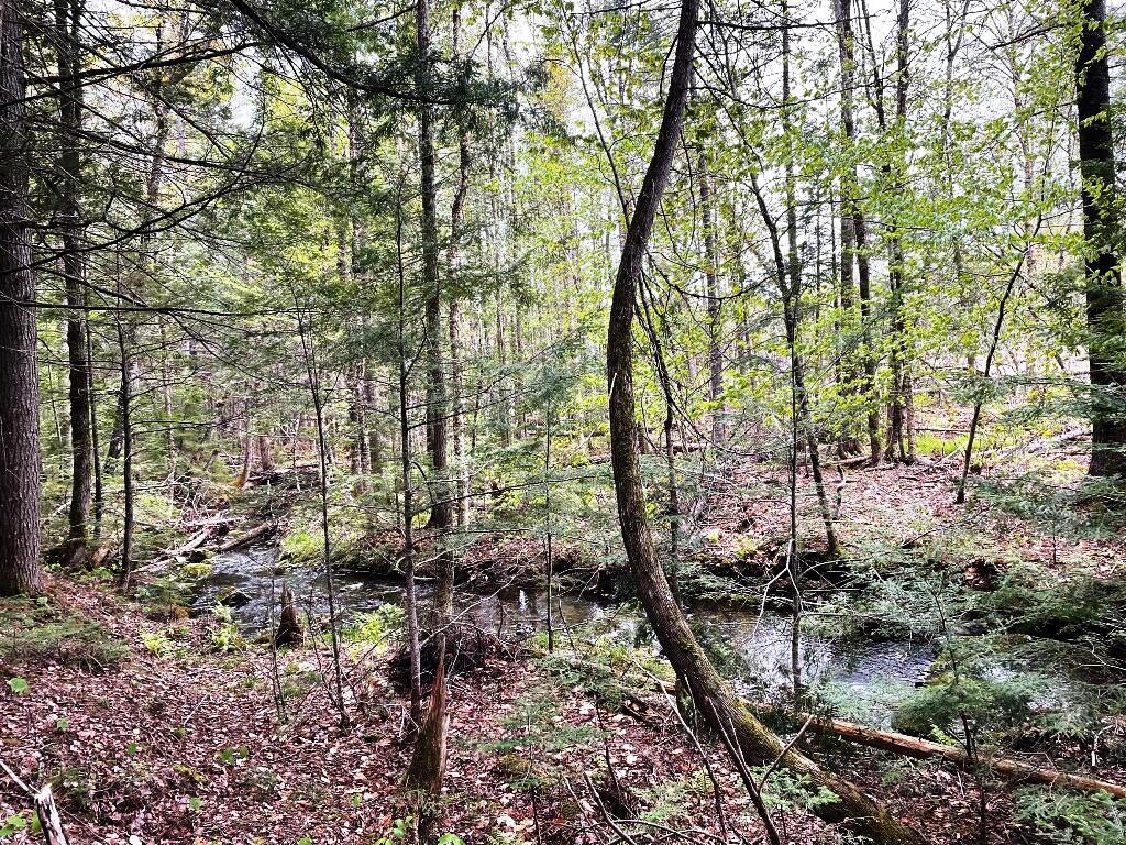 Lot #7 Hammond Brook Road Monson ME 04464