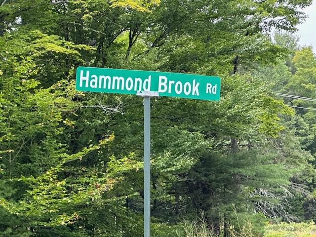 Lot #7 Hammond Brook Road Monson ME 04464