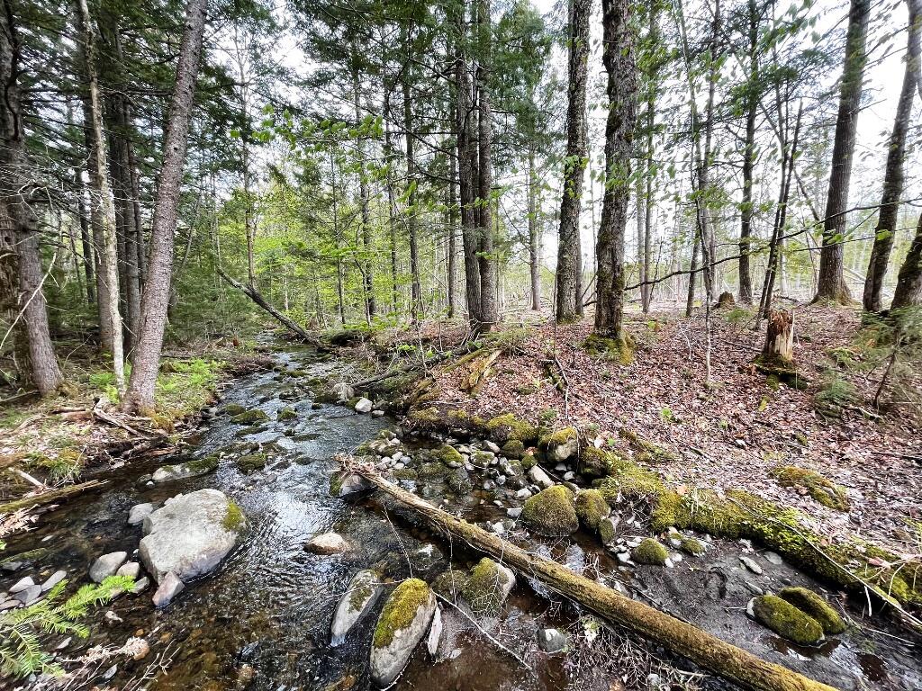 Lot #7 Hammond Brook Road Monson ME 04464